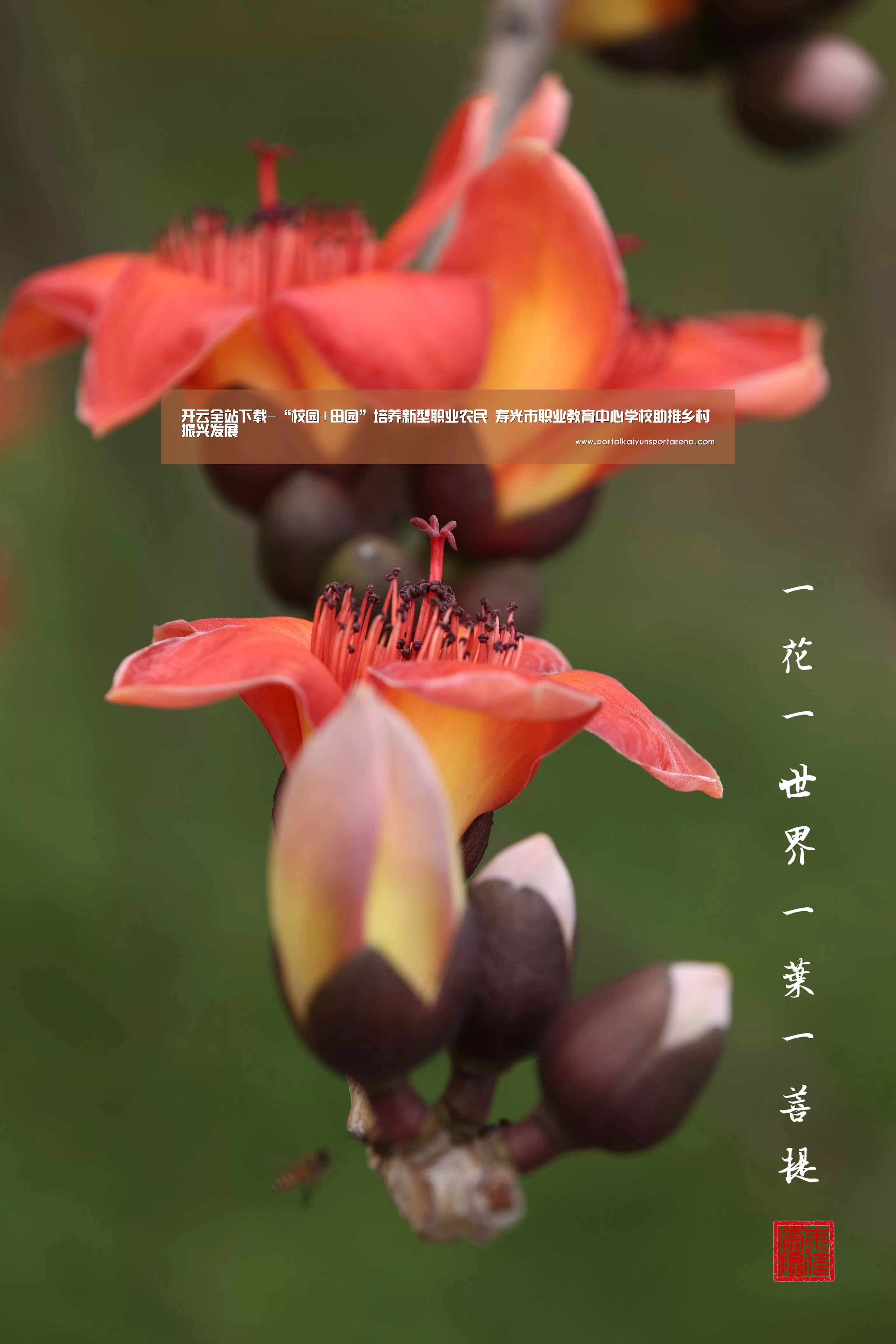 开云全站下载-“校园+田园”培养新型职业农民 寿光市职业教育中心学校助推乡村振兴发展(图1) 开云移动端