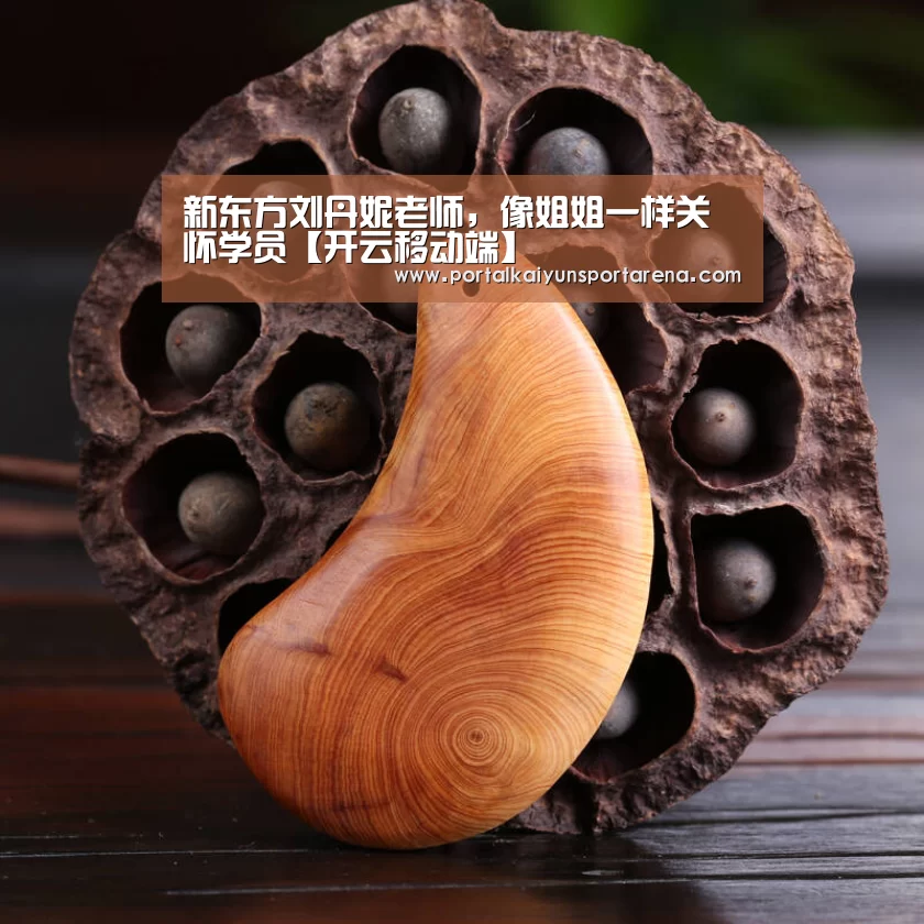 开云全站下载