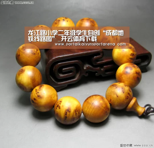 龙江路小学二年级学生自创“成都地铁线路图”_开云体育下载(图3) 开云体育下载